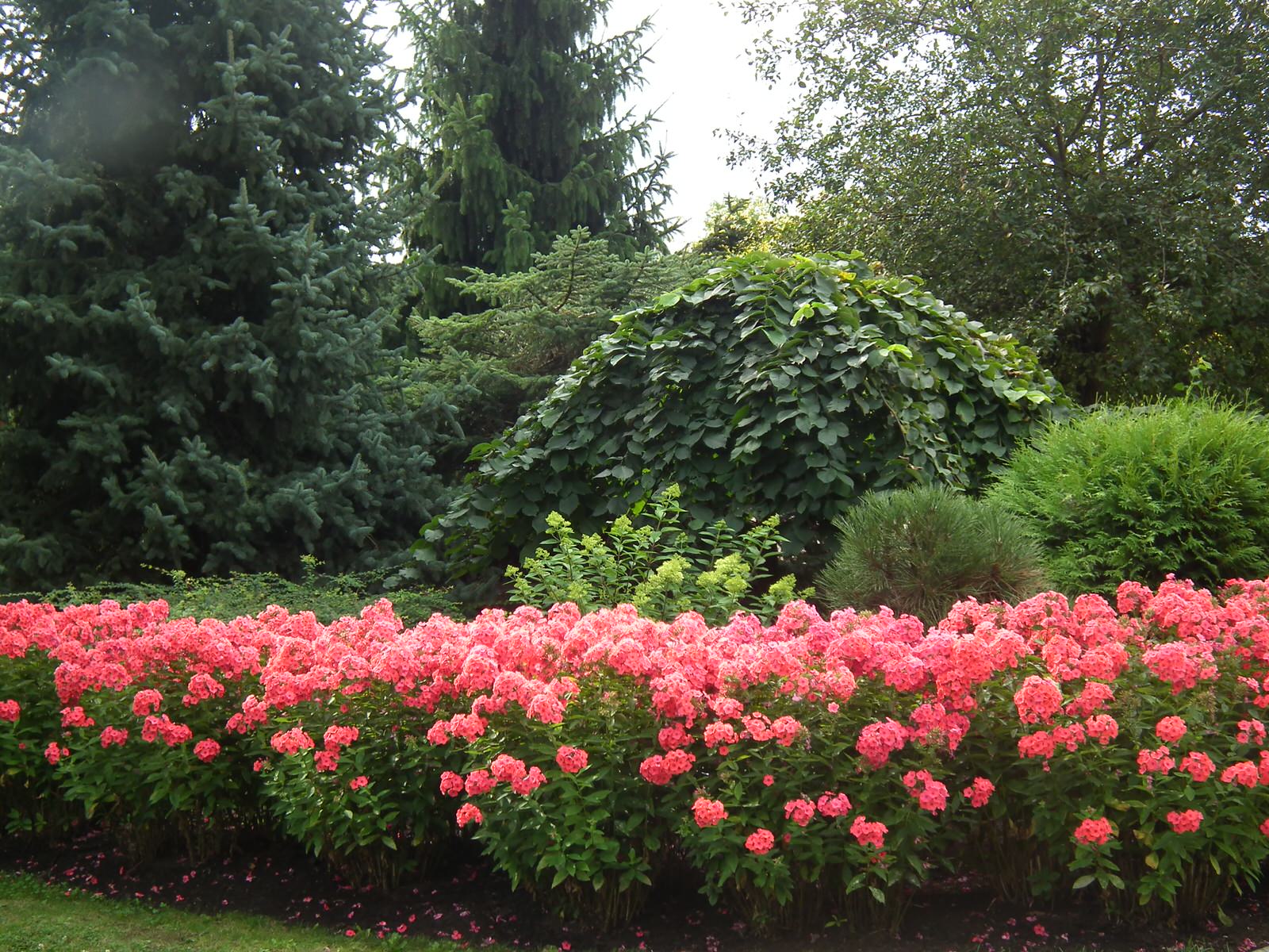 Выполненные работы