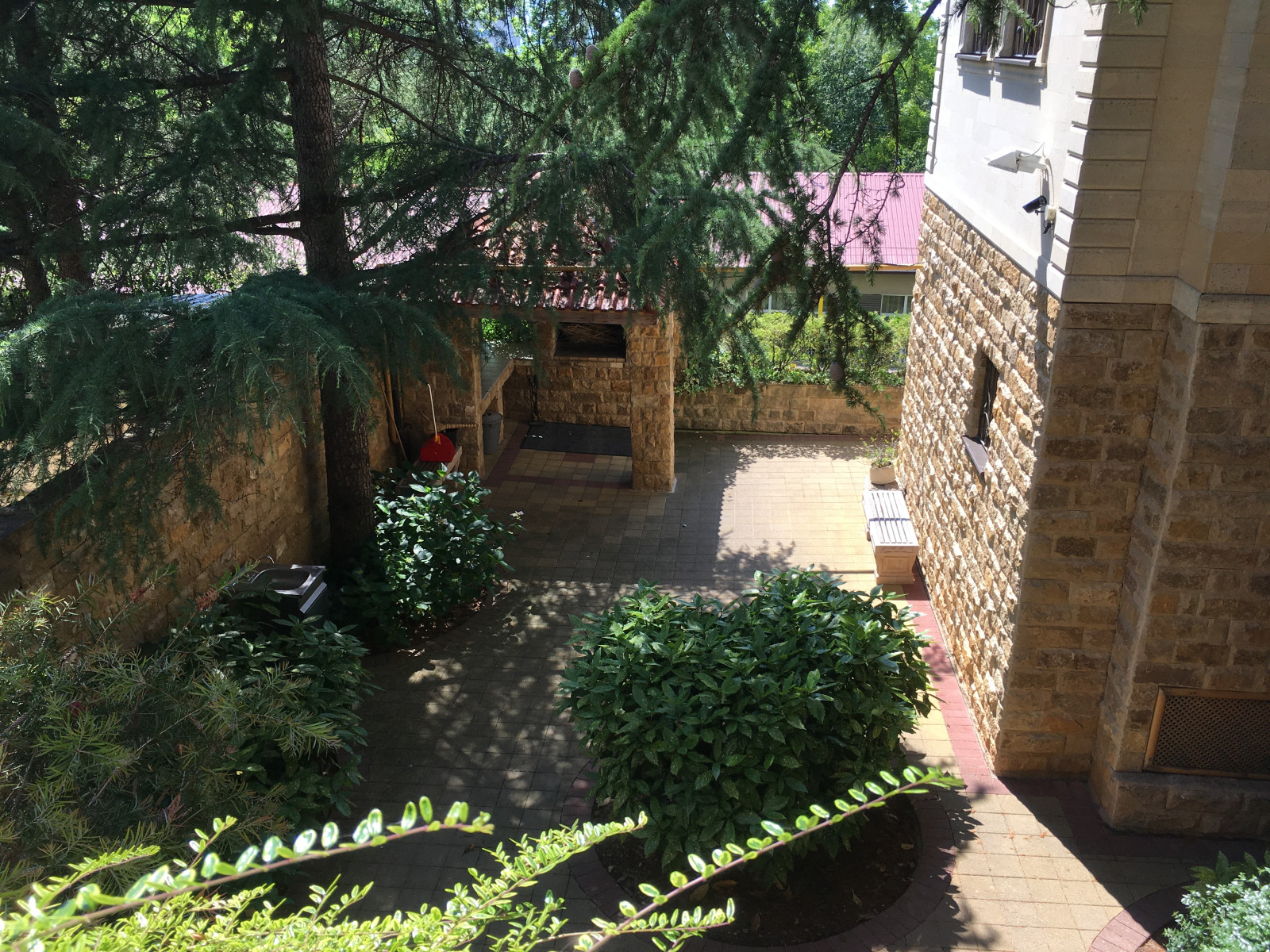 Фабрициуса