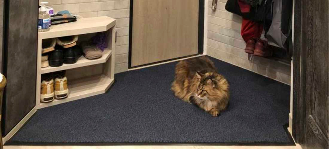 Грязезащитные покрытия