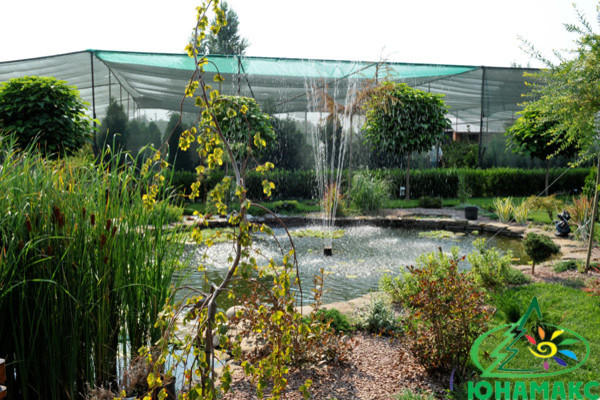 Ландшафтный дизайн