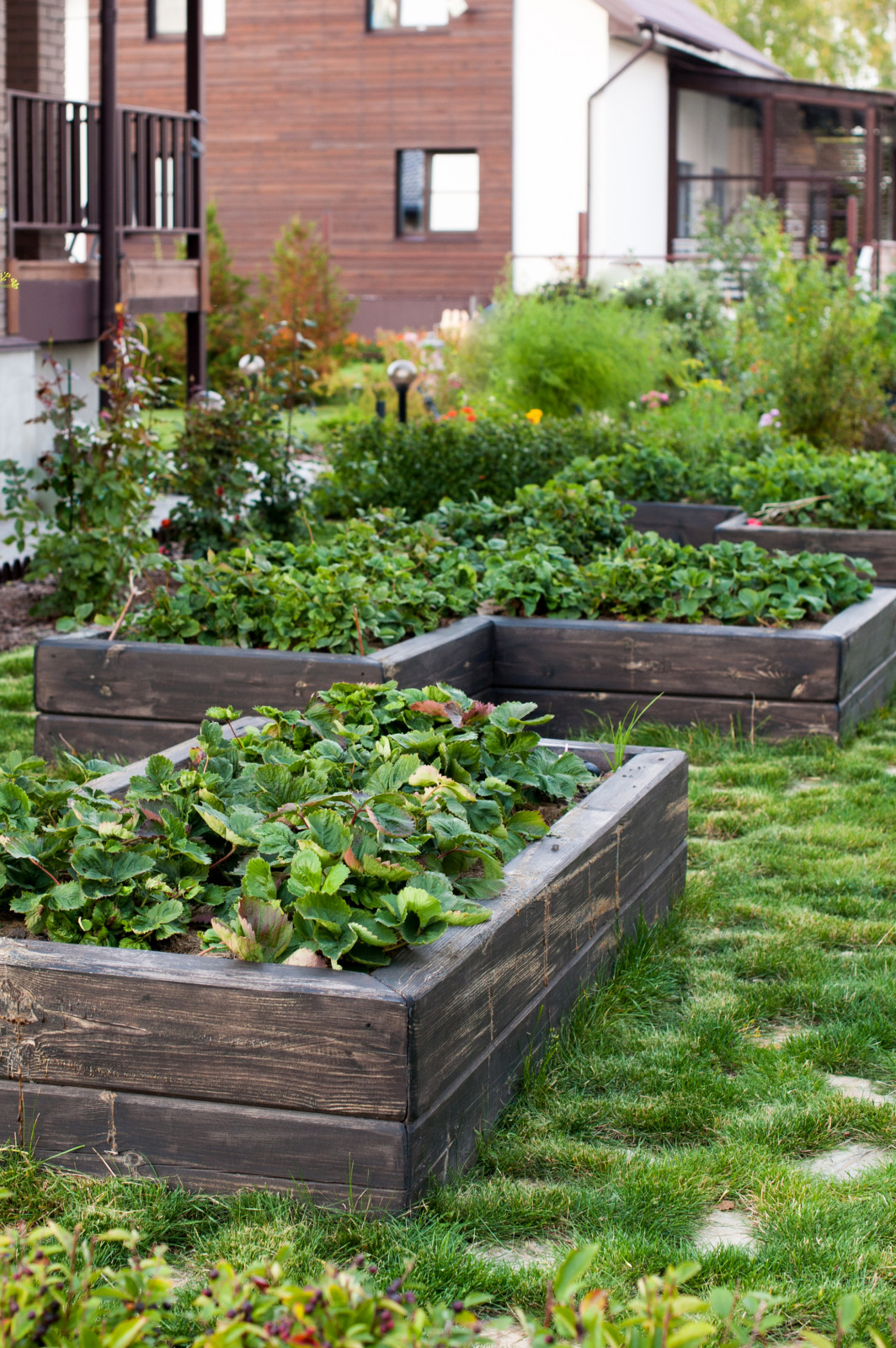 Сад На мажорной ноте