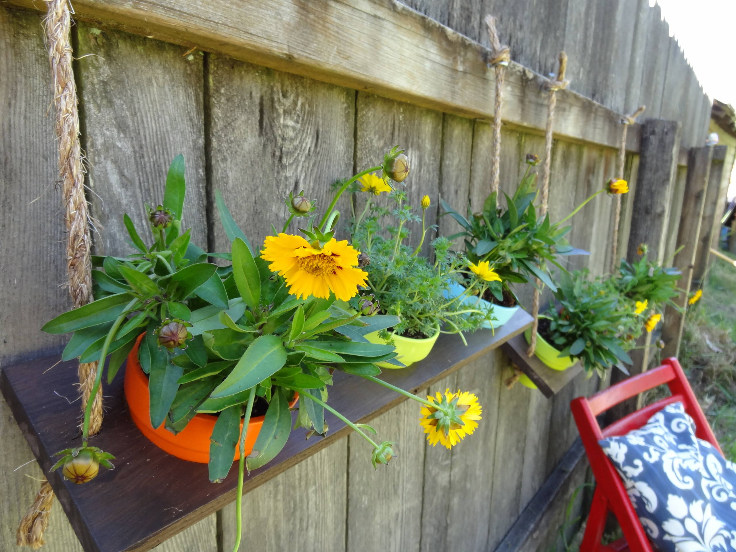 Как сделать вертикальный сад своими руками — в саду и на даче