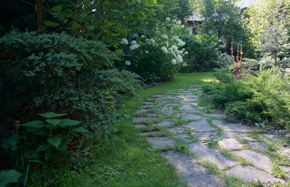 "Березовая роща". Сад в Чеховском районе Московской области, 10 соток.