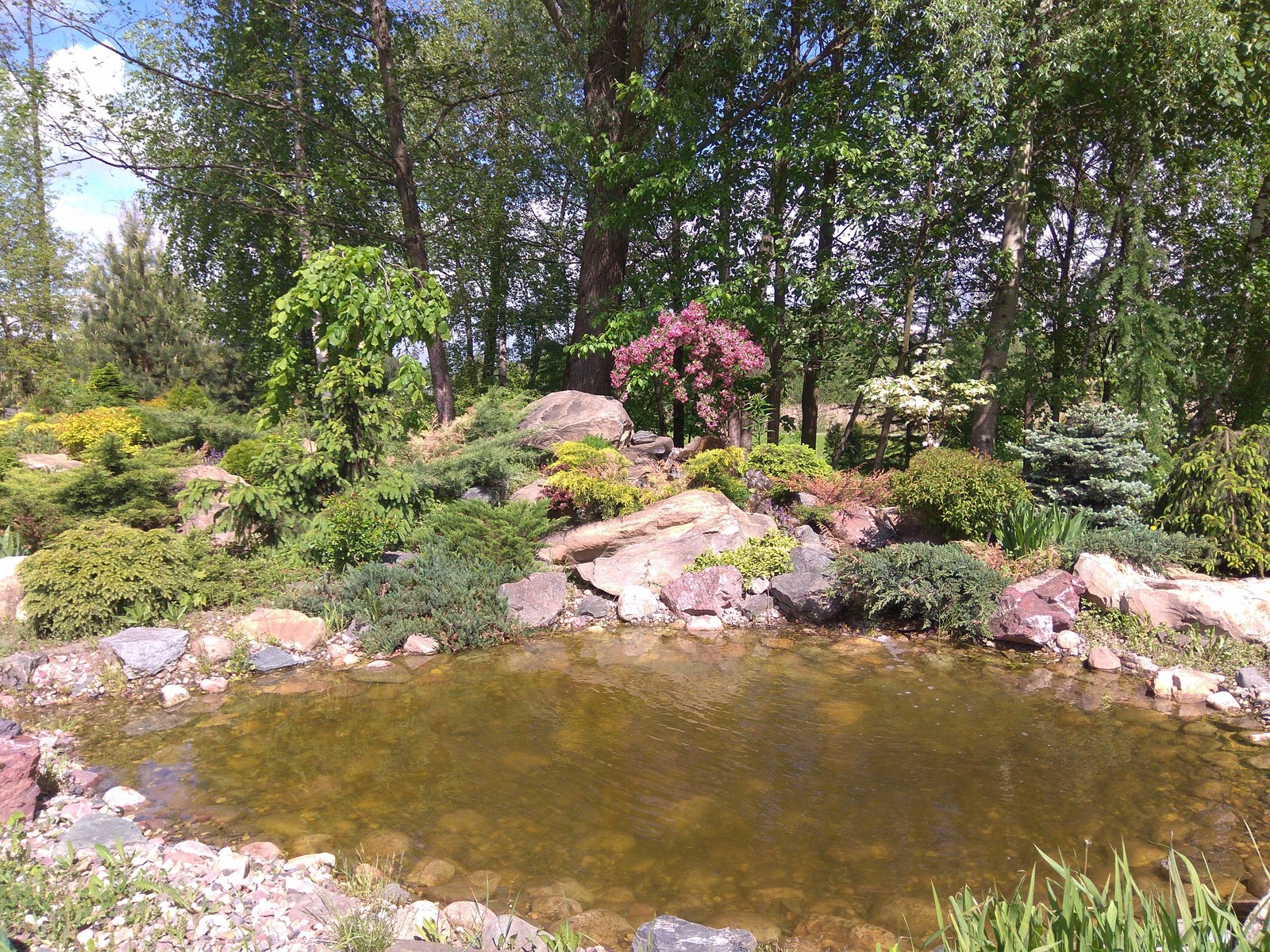 Обложка проекта: КП Новая Рига