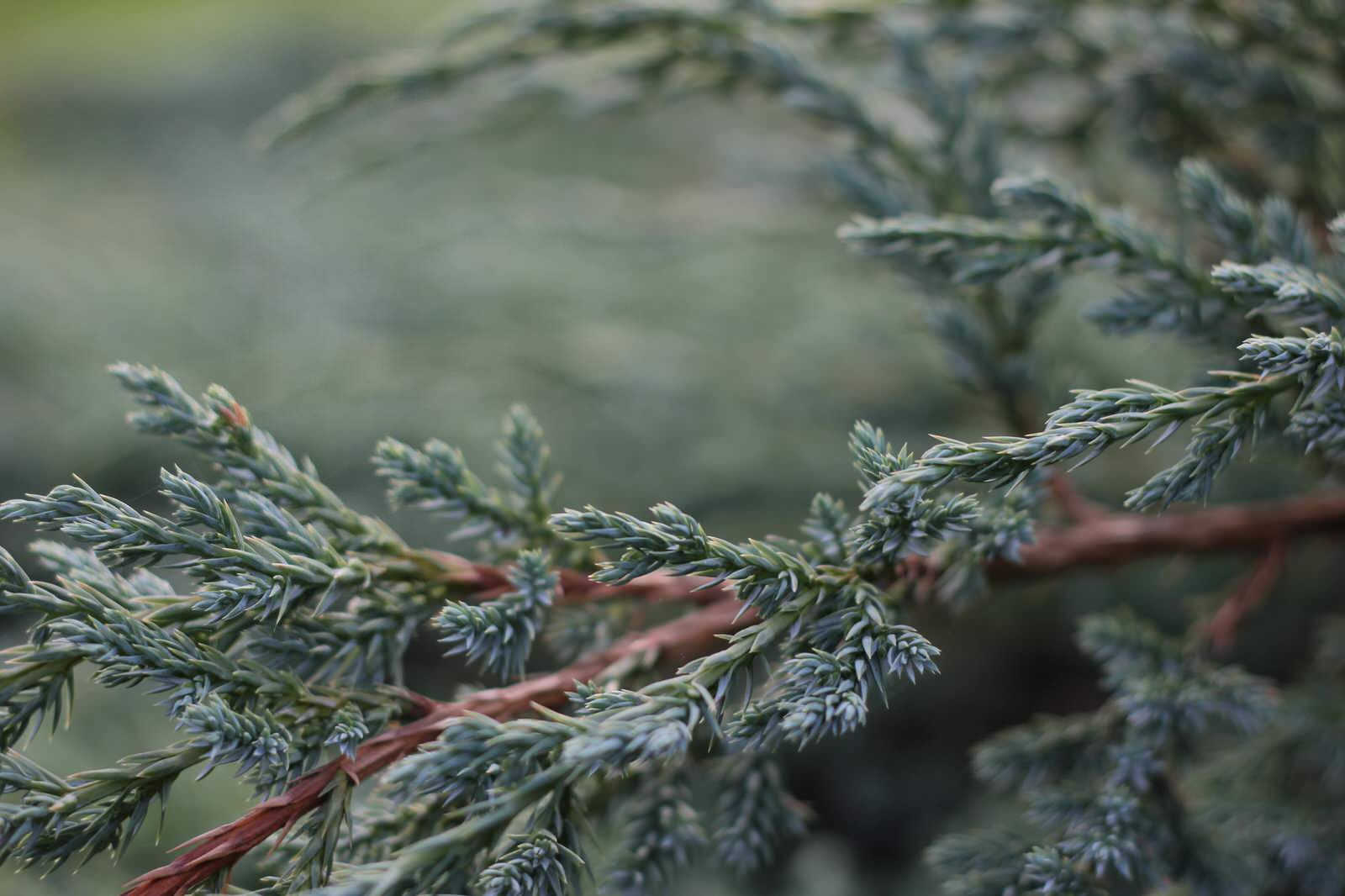 Ландшафт в деталях