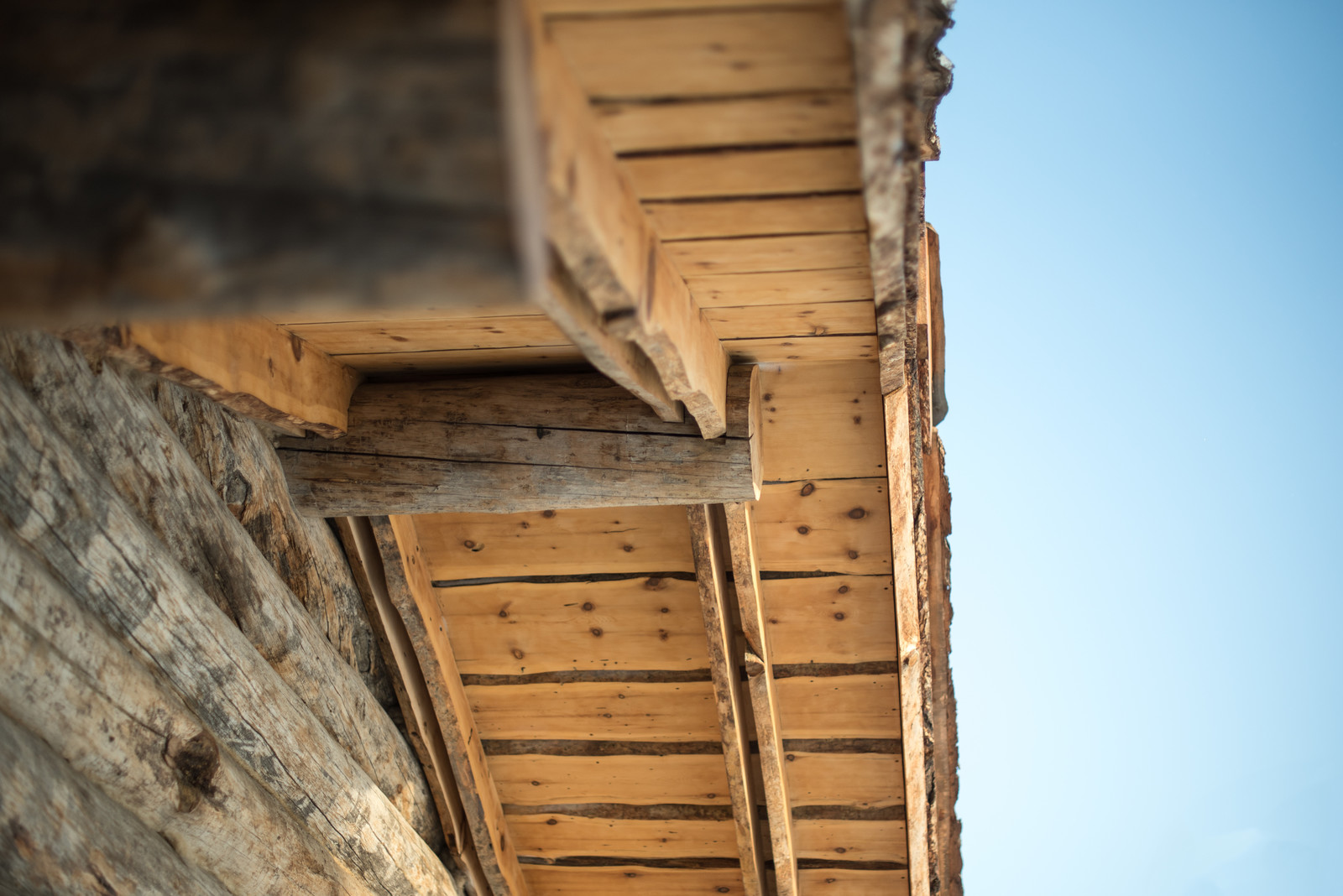 Проект недели: Баня из сухостойной сосны в Экибастузе