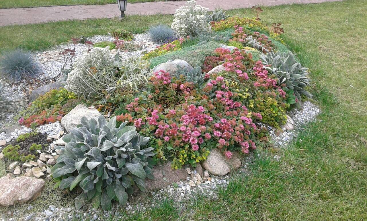 Обложка проекта: Альпийская горка