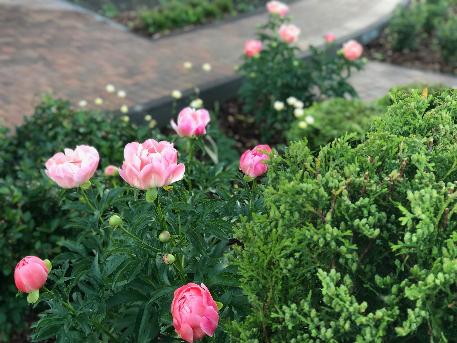 Равновесие