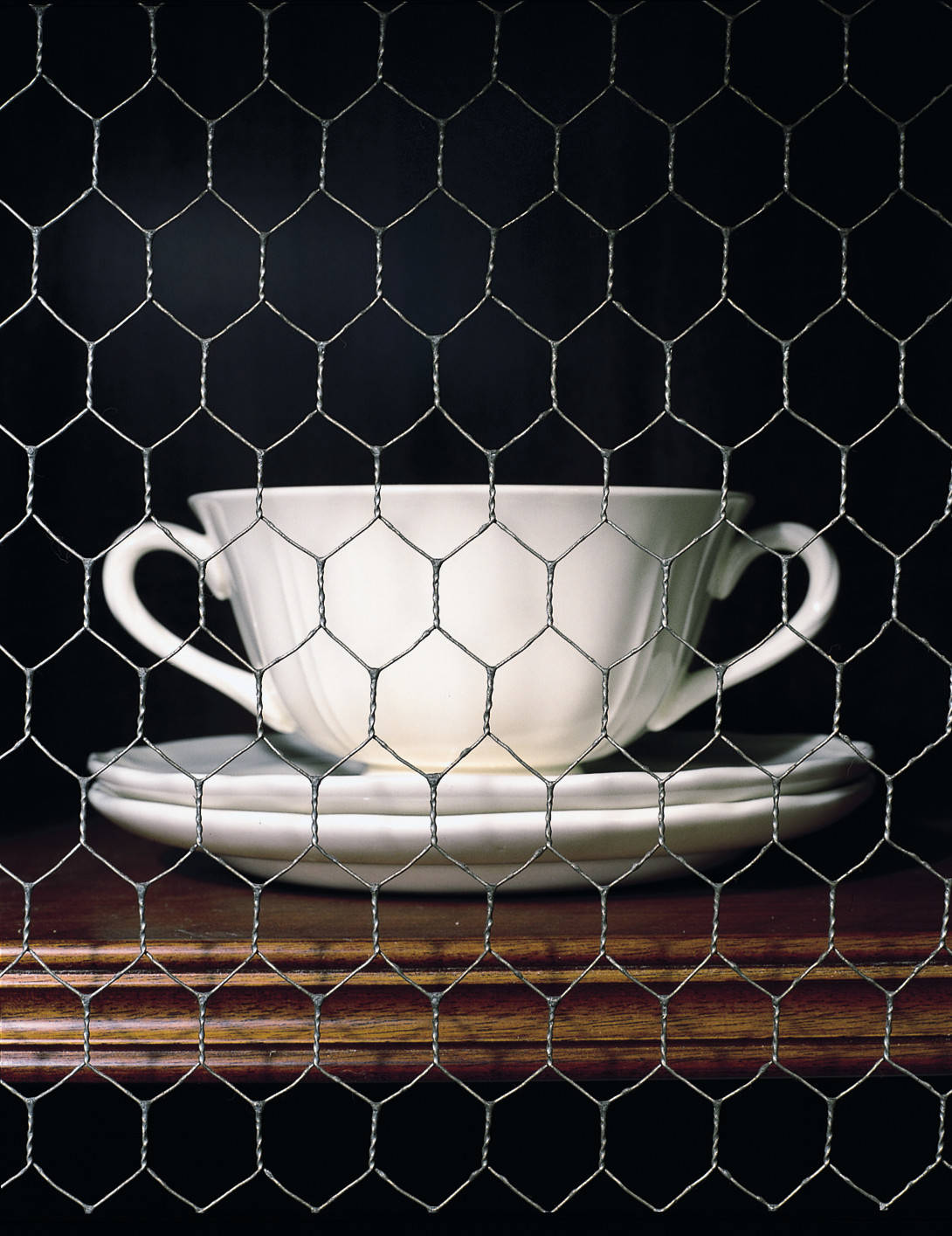 В закладки: Как хранить «визуальные архивы» — сравним 4 программы