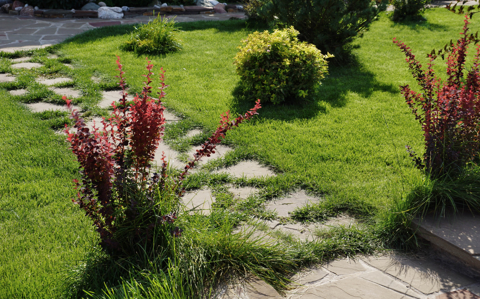 Nelzha, Voronezhskaya oblast