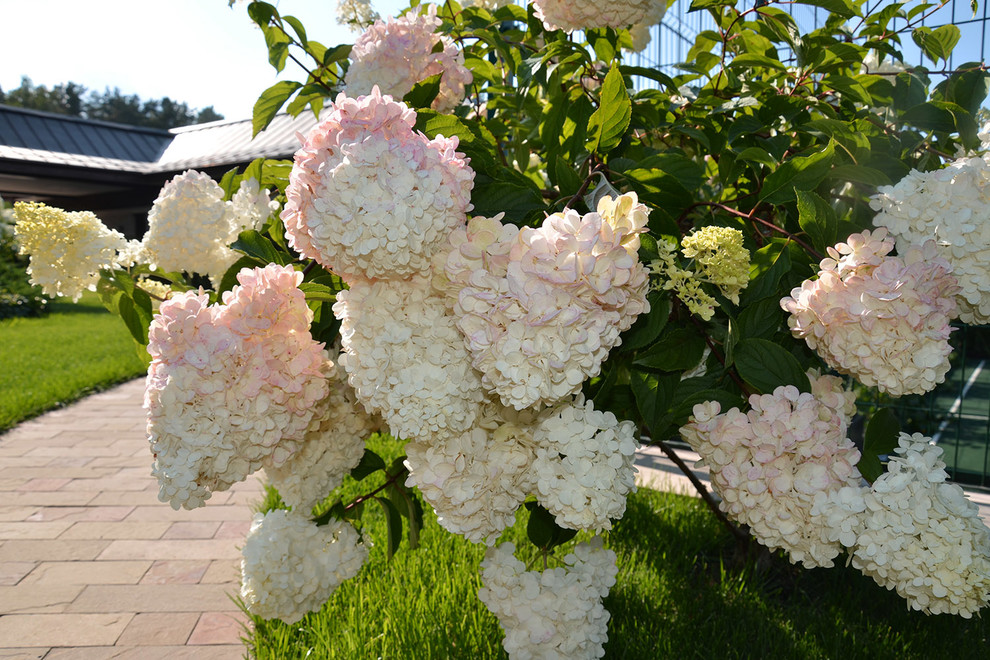 Современный сад в КП "Бенелюкс" вилла 1