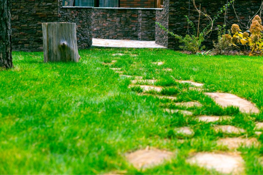 Портфолио Drevos