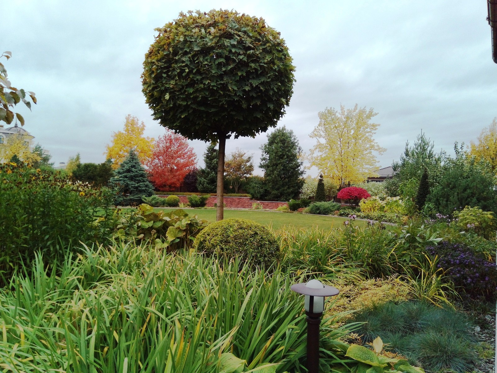 кп "Милениум" - Профессиональный уход за садом - 100% качество!