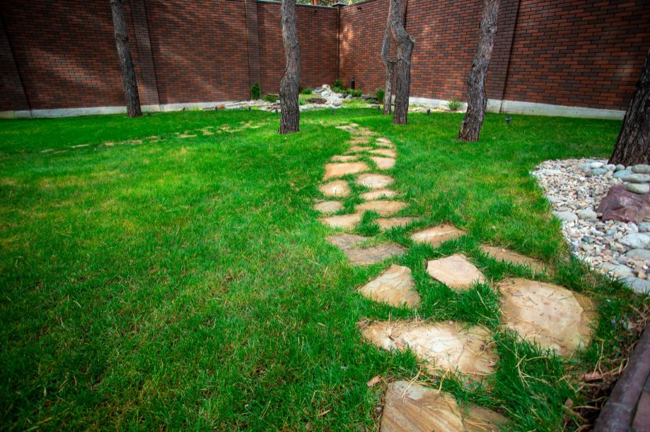 Портфолио Drevos