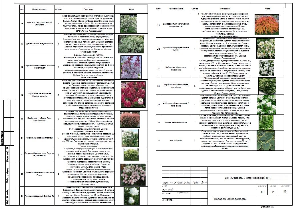 Ландшафтное проектирование