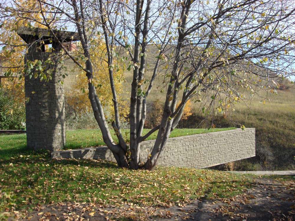 Баня в Переволоках