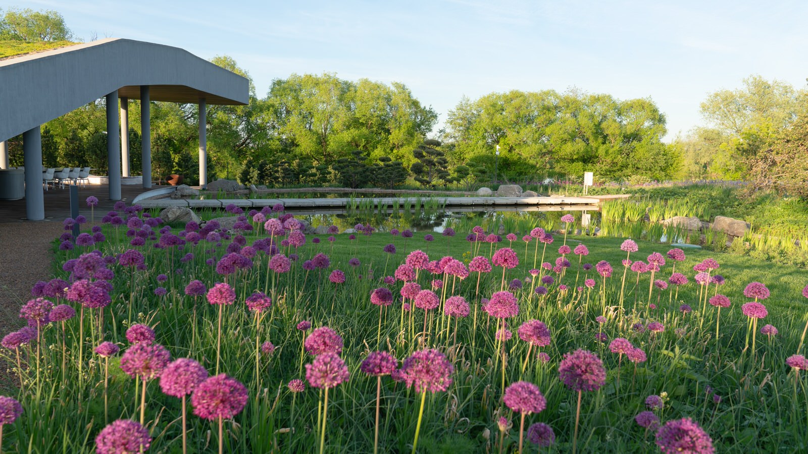 Природный сад. Жуковка XXI век. 2017-2018 гг.