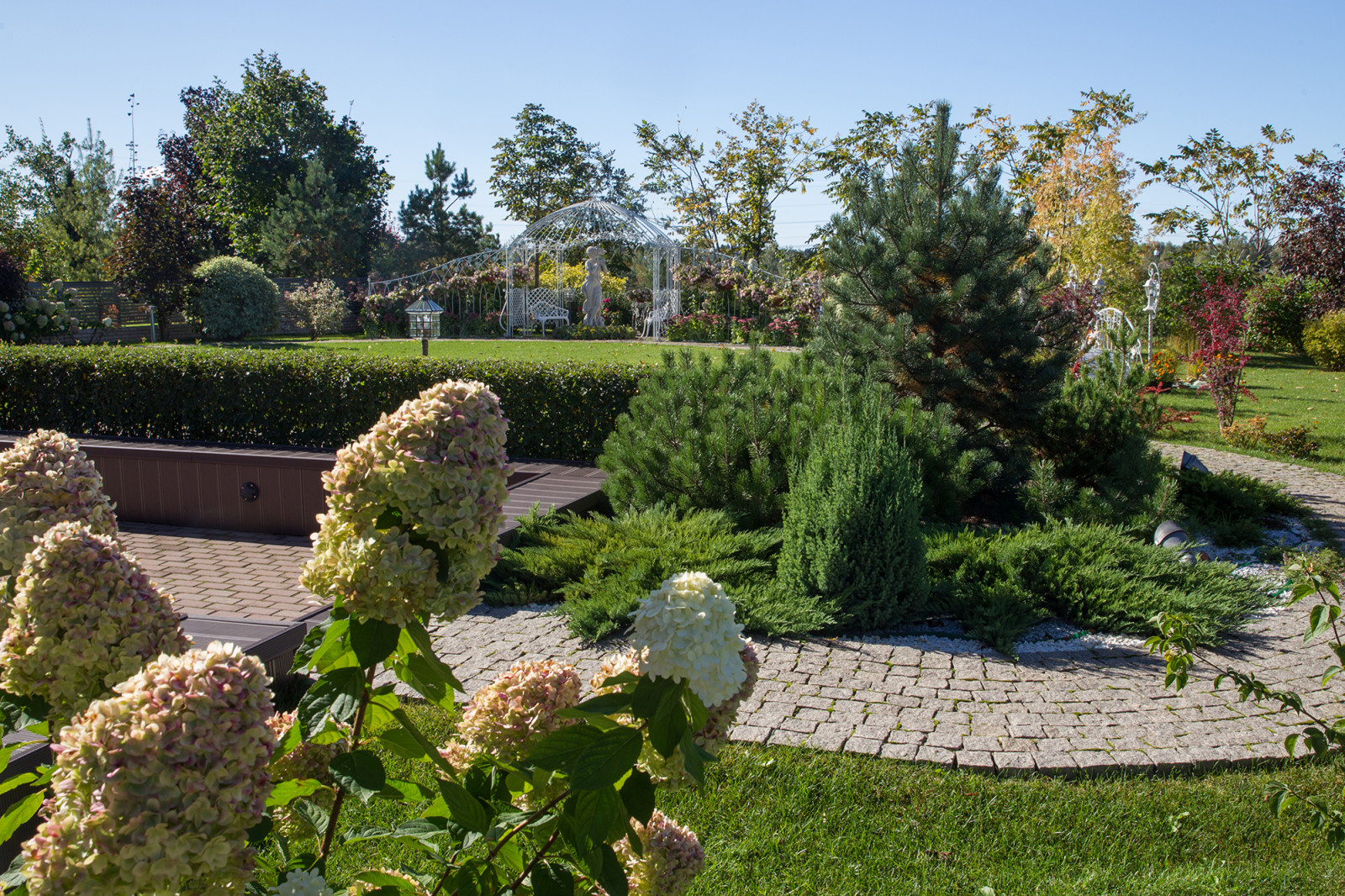 Обложка альбома: Клумба