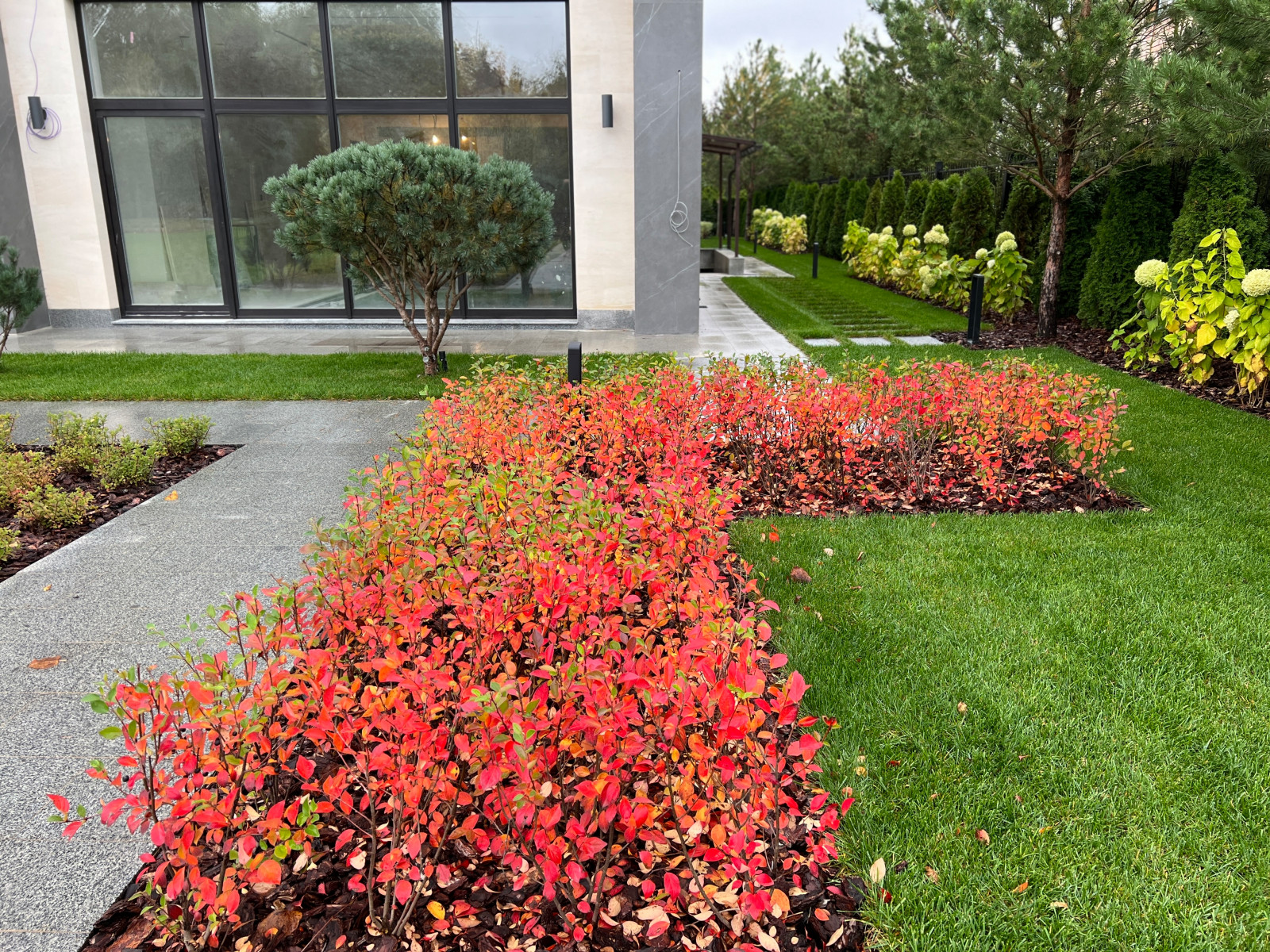 Сады осенью