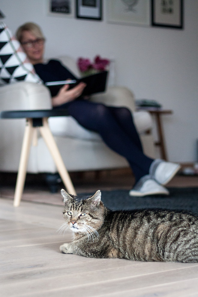 Houzz Германия: Романтический скандинавский стиль в Рейнланд-Пфальце