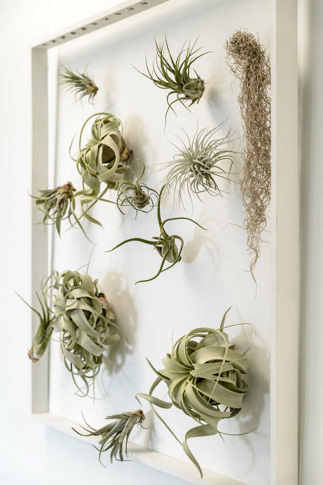 Озеленение холла помещения и кабинета руководителя