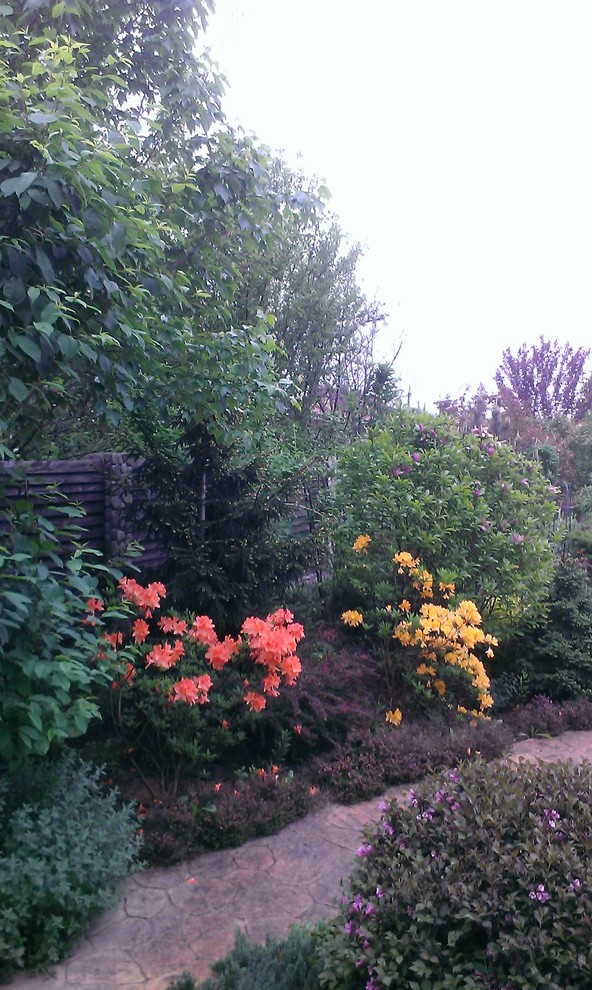 Ландшафт в пейзажном стиле с плавательным прудом 12 соток