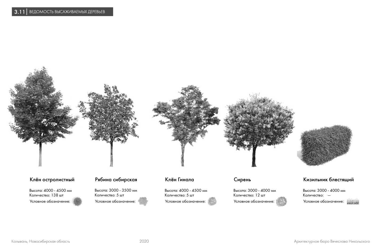 Благоустройство аллеи в историческом поселении Колывань
