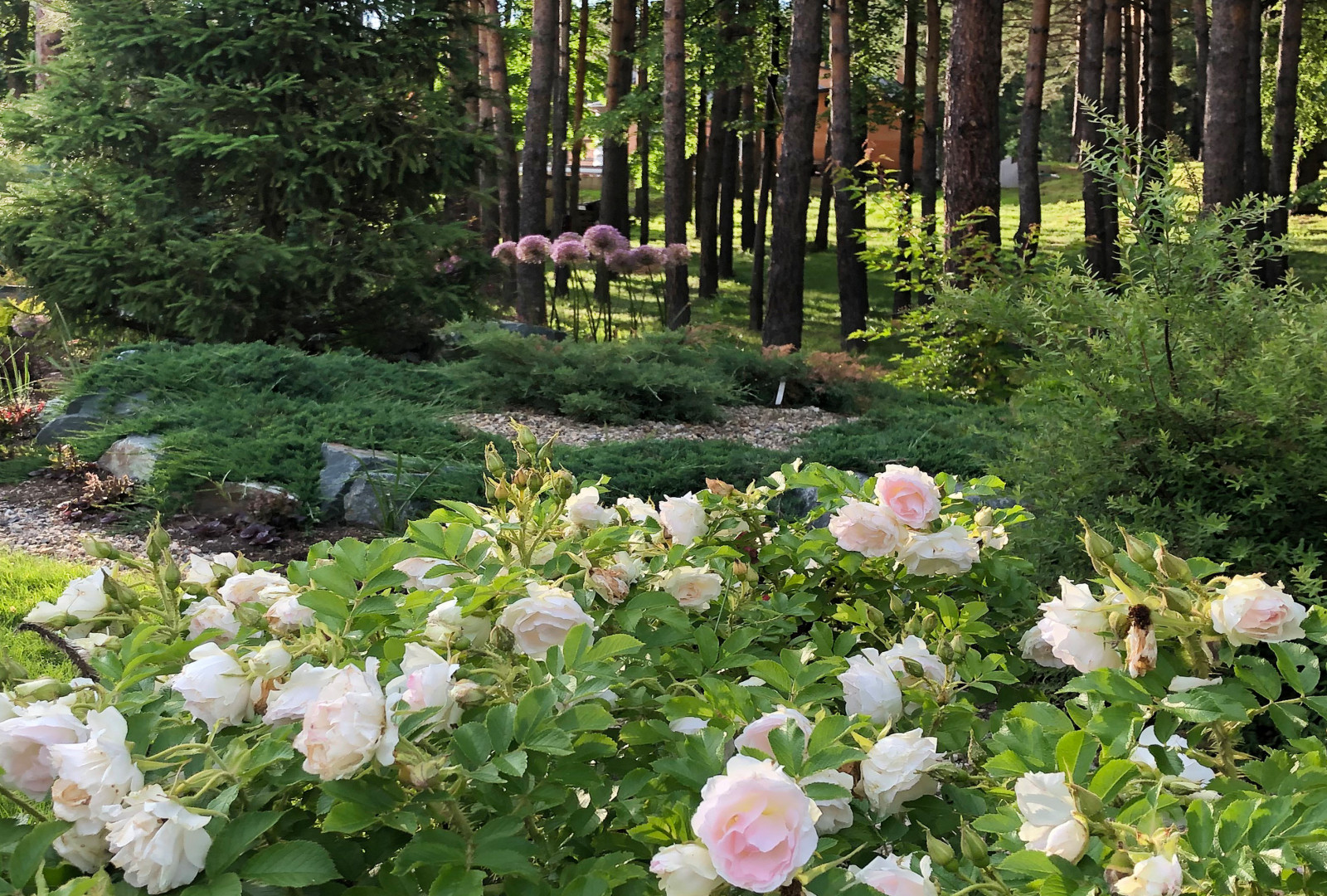 Дом у озера