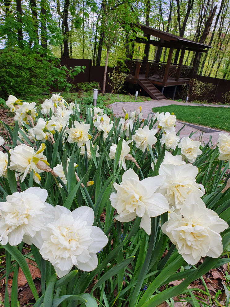 Частный сад