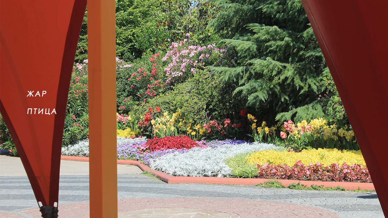 Парк аттракционов "Сочи парк"