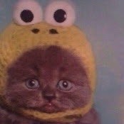 Дарья Бартенева