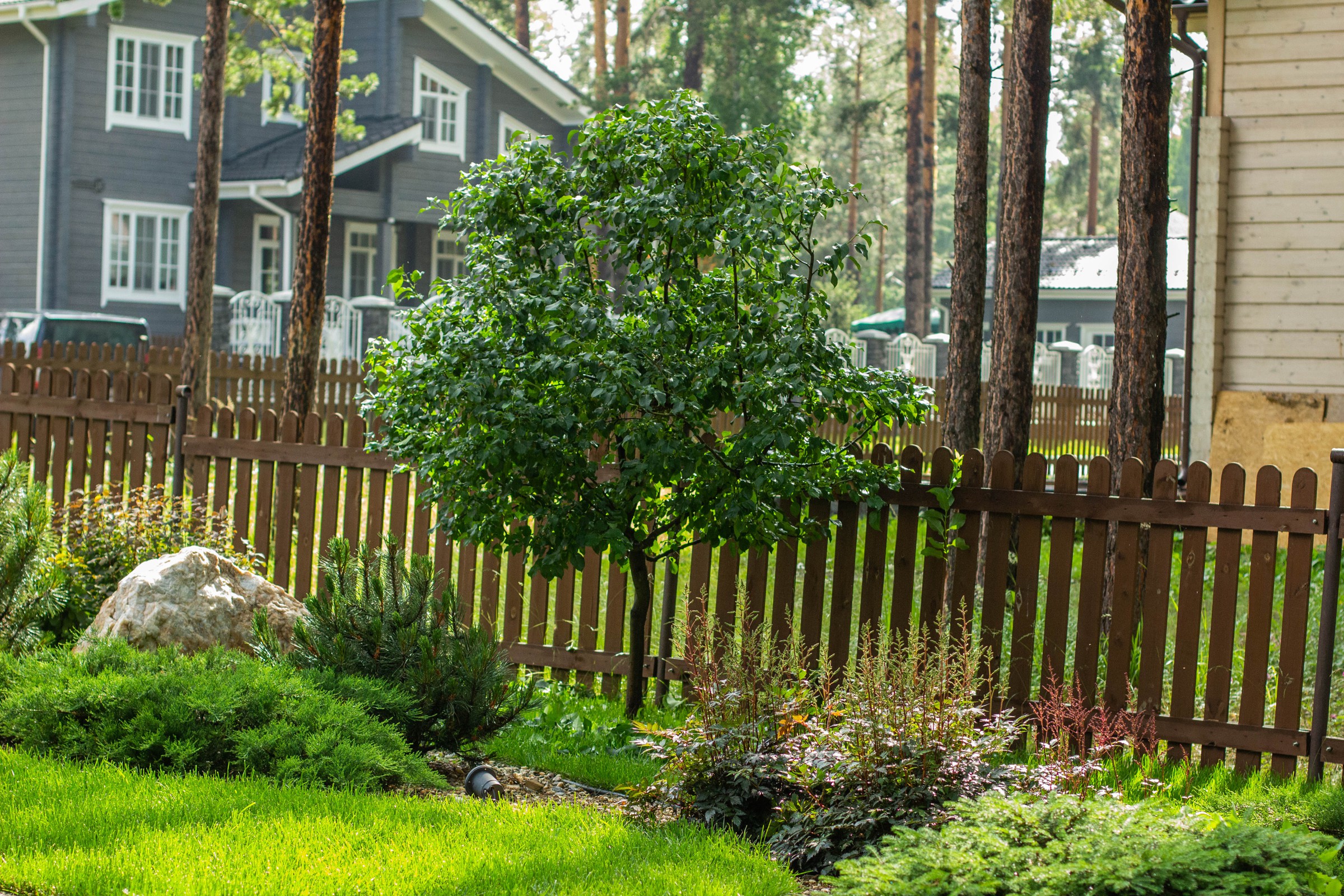 У леса на опушке