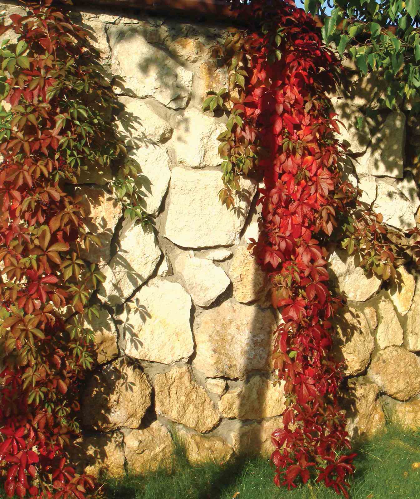 Сад "Динамика движения"