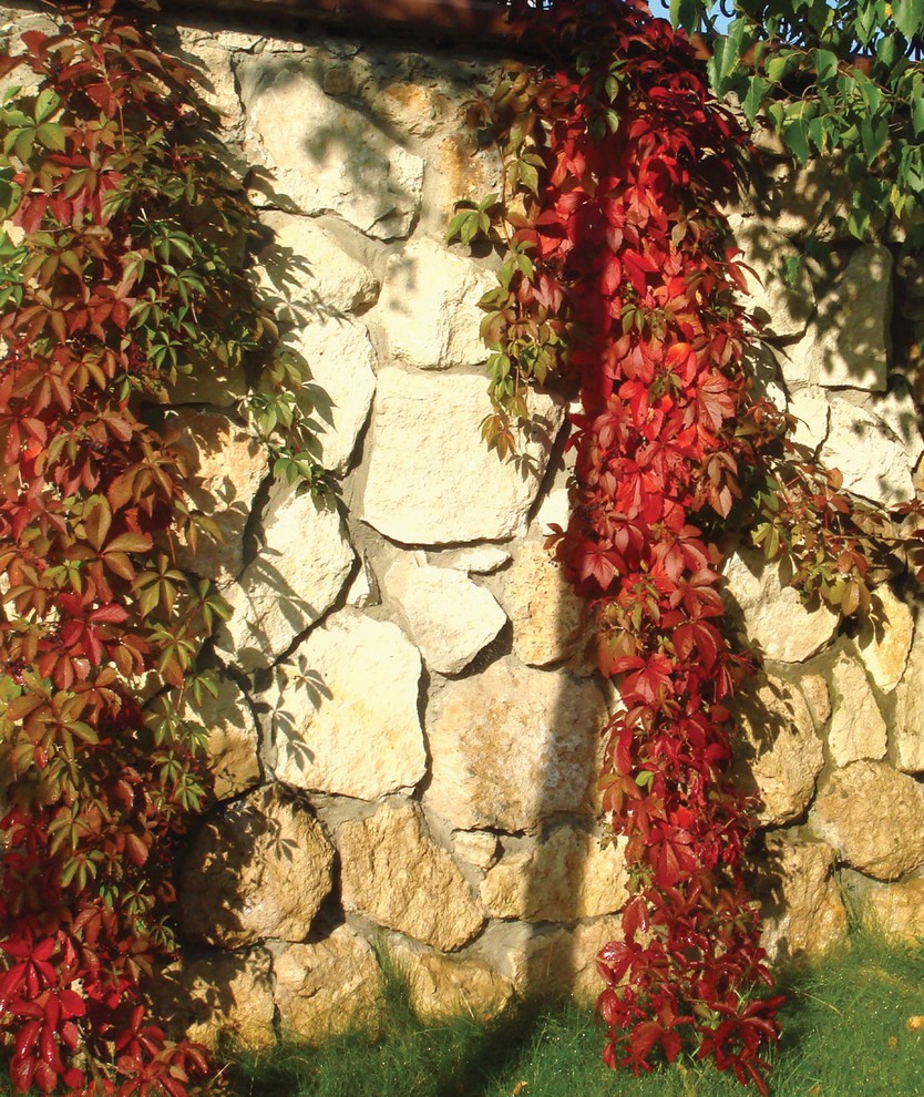 Сад "Динамика движения"