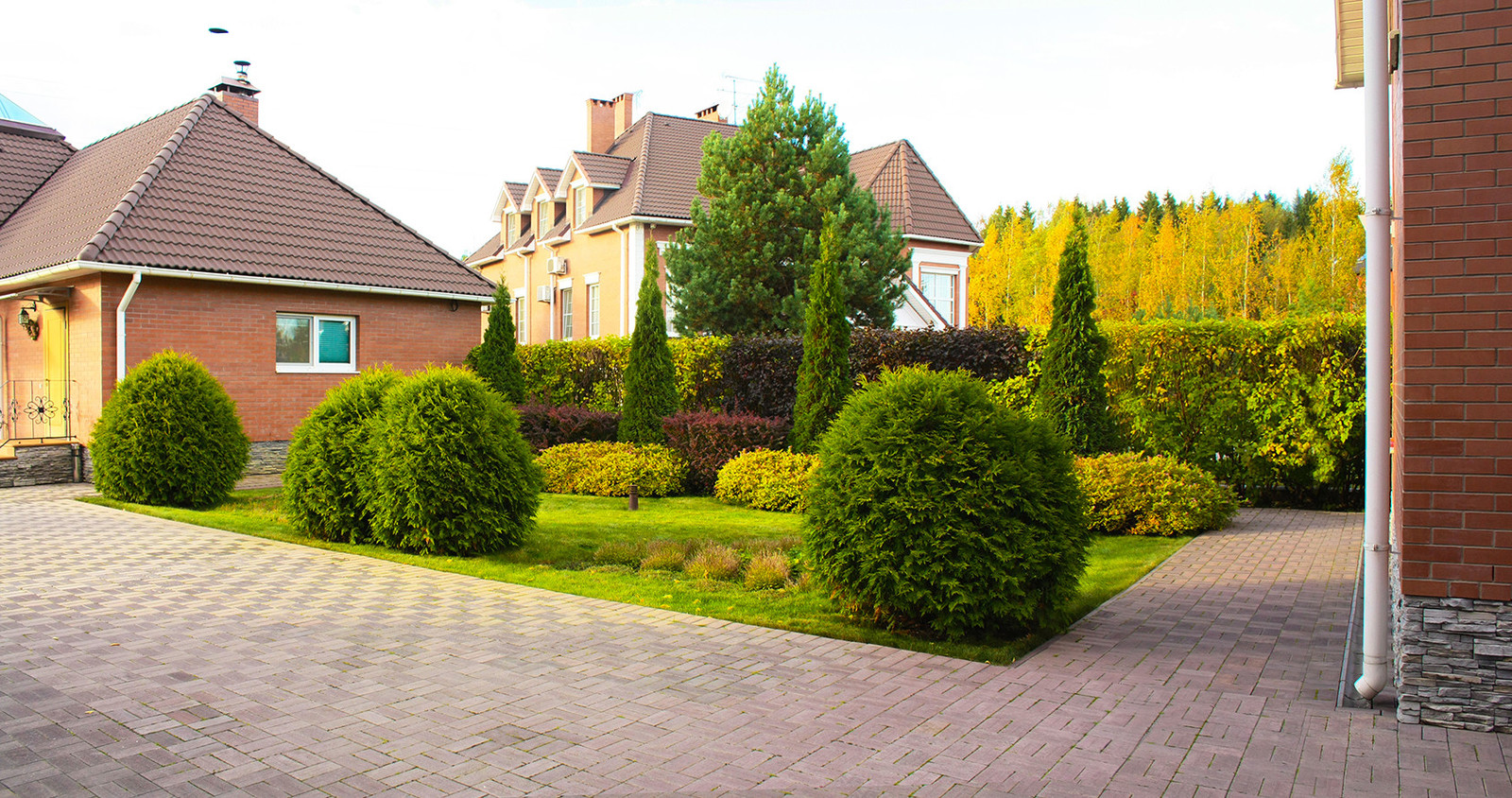 Партерный цветник в дизайне сада