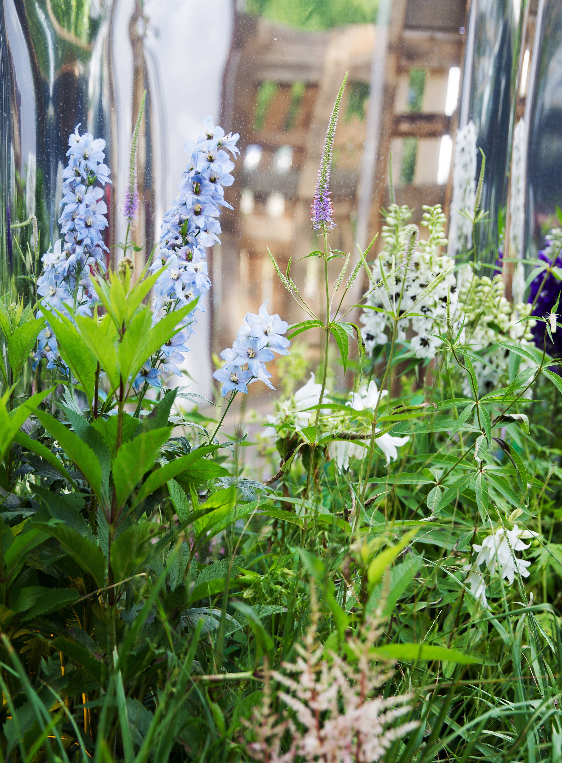 Проект недели: Французский сад на выставке в Москве