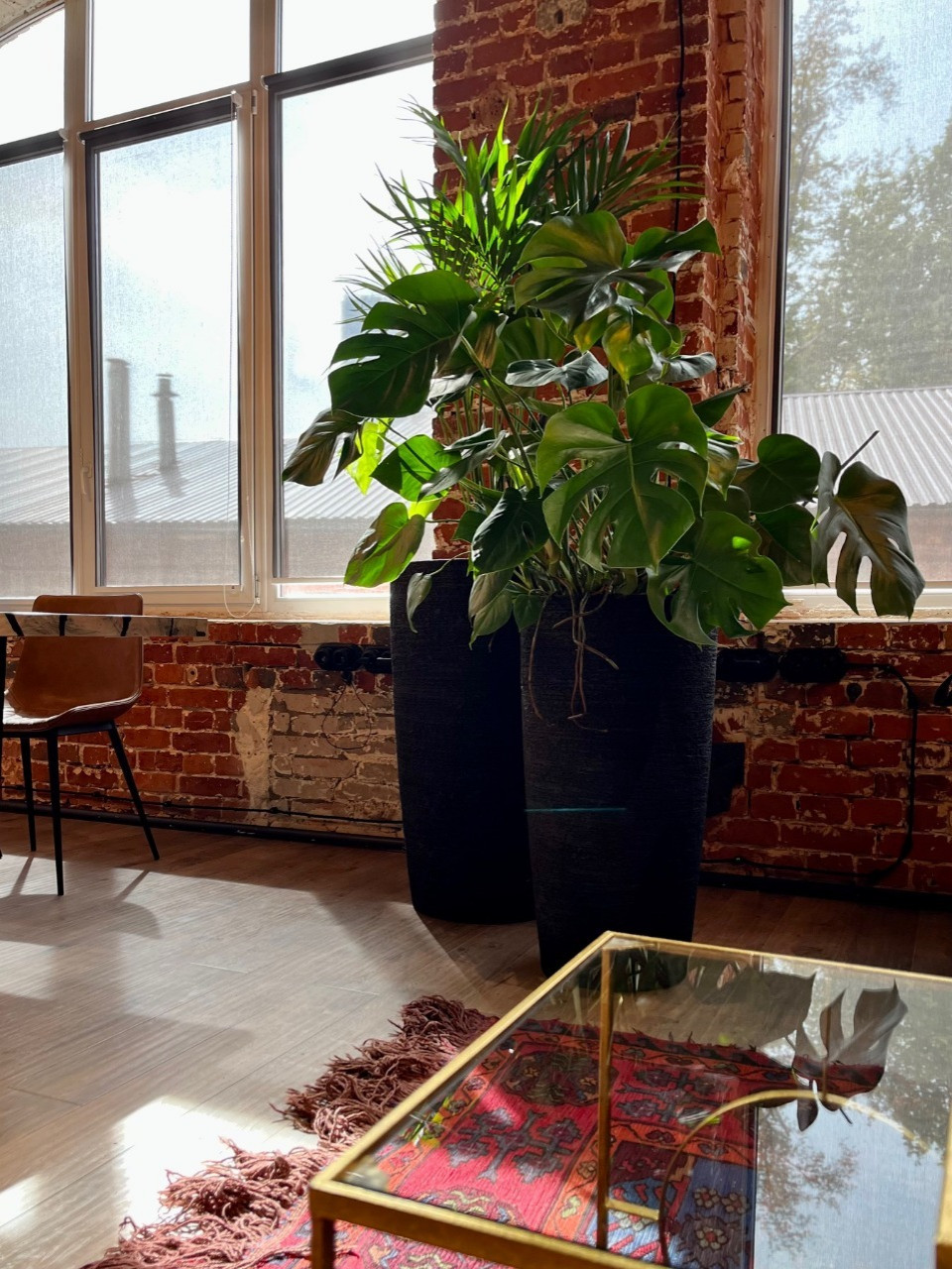 Шоурум Monncashmere