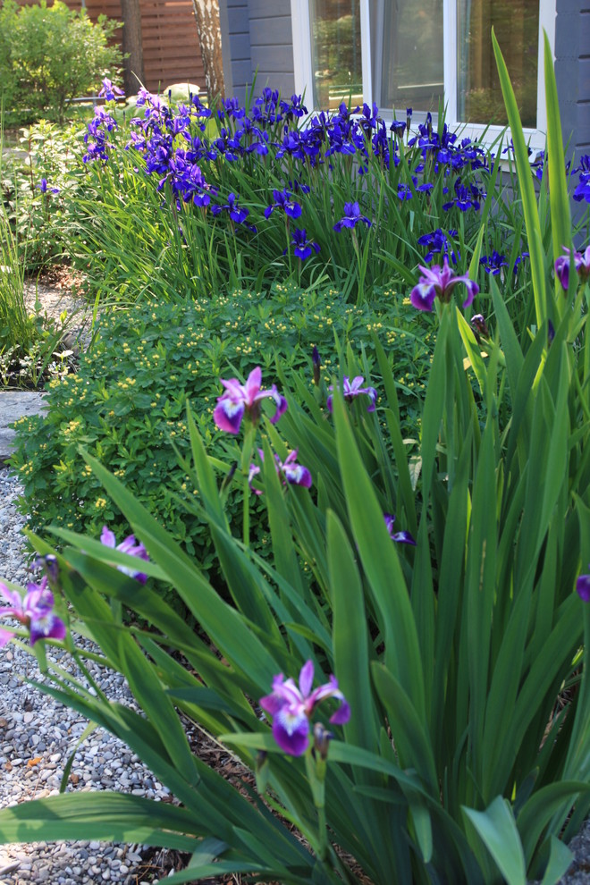 Озеро в лесу. Посёлок Приволье.