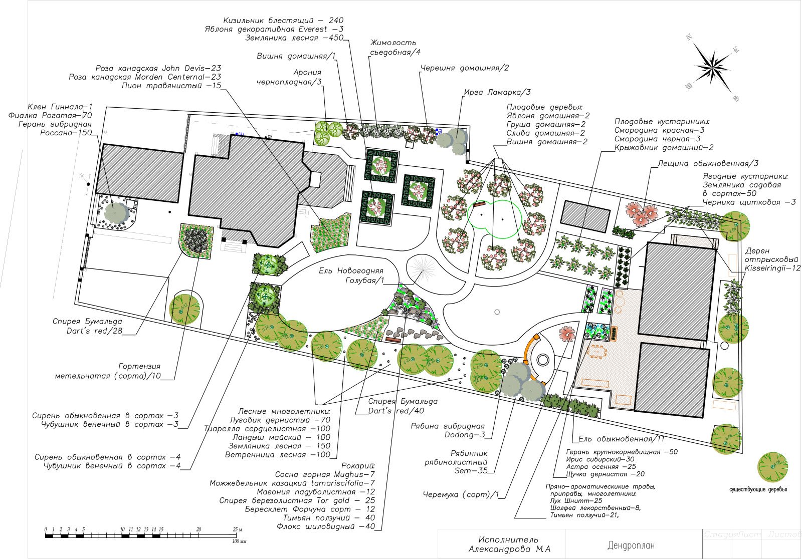 Дендроплан