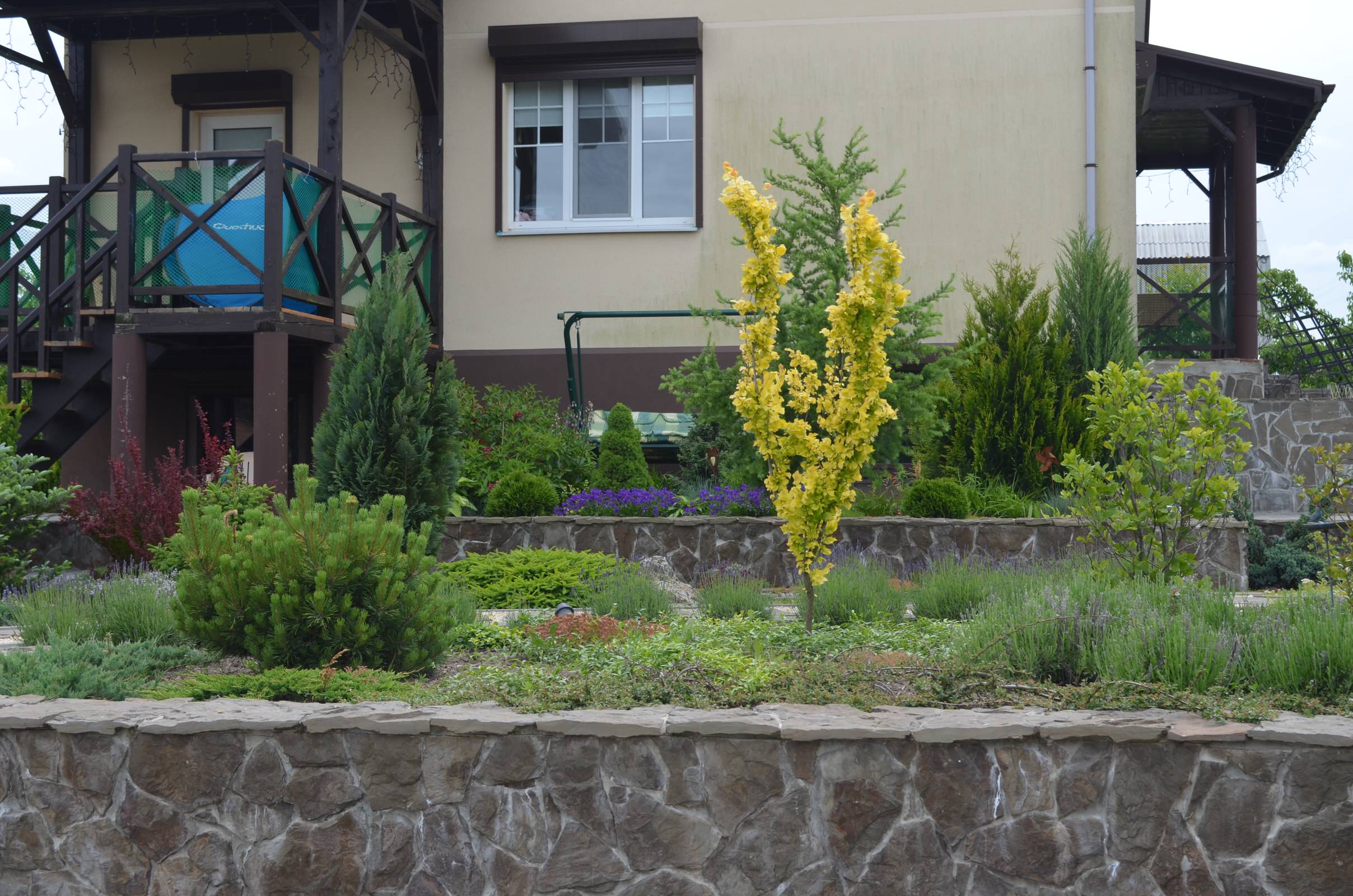 Сад "Ароматы Прованса"