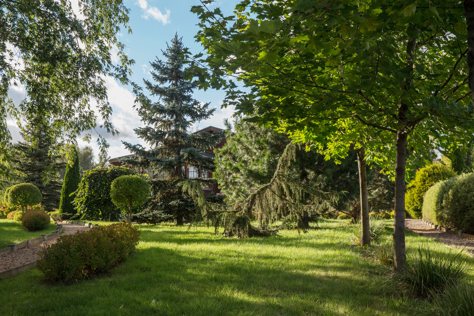 Парк в  Шаховском районе