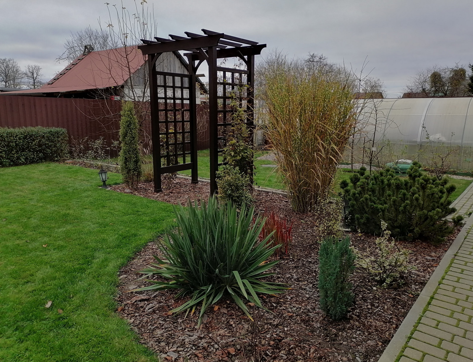 Елена Хижняк