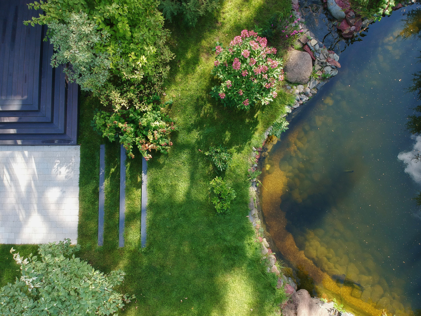 На Лисьем Носу