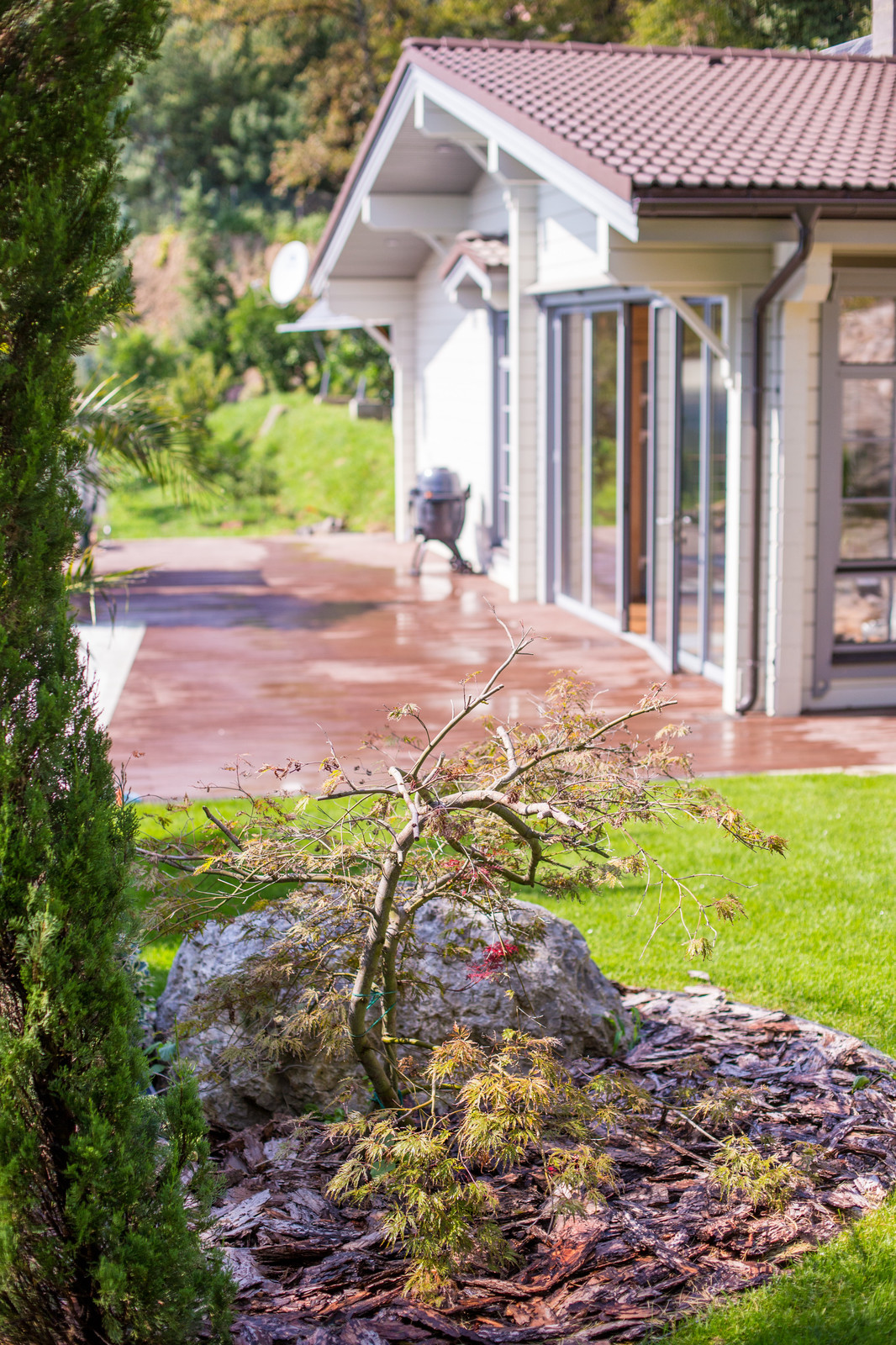 Ландшафтный Дизайн Олимпийский Сочи