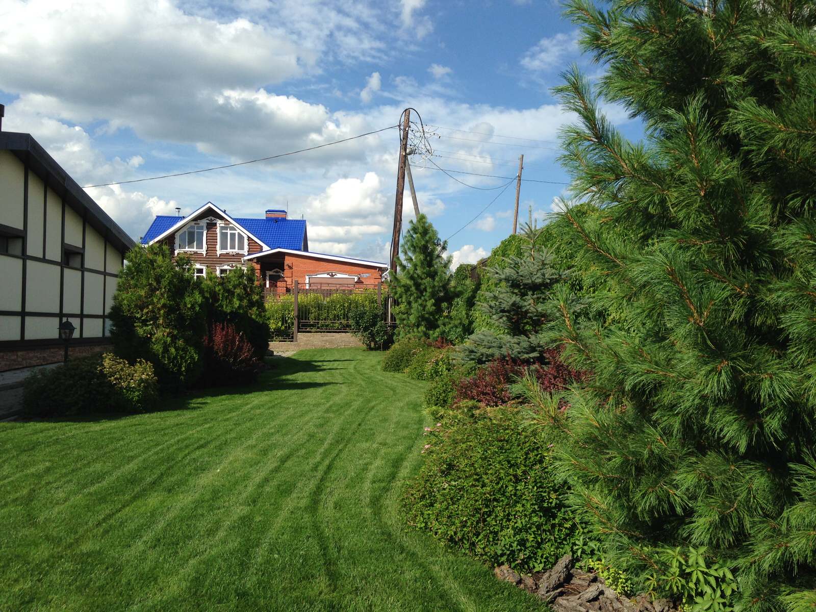 Городской сад