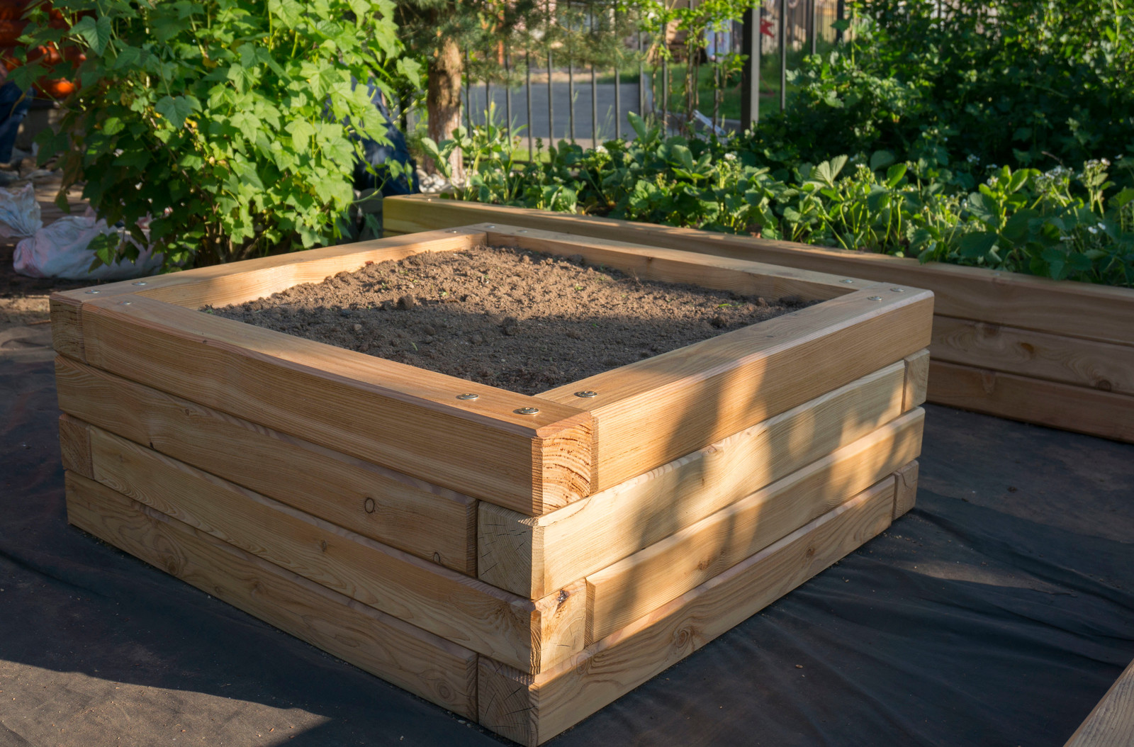 Грядки из лиственницы