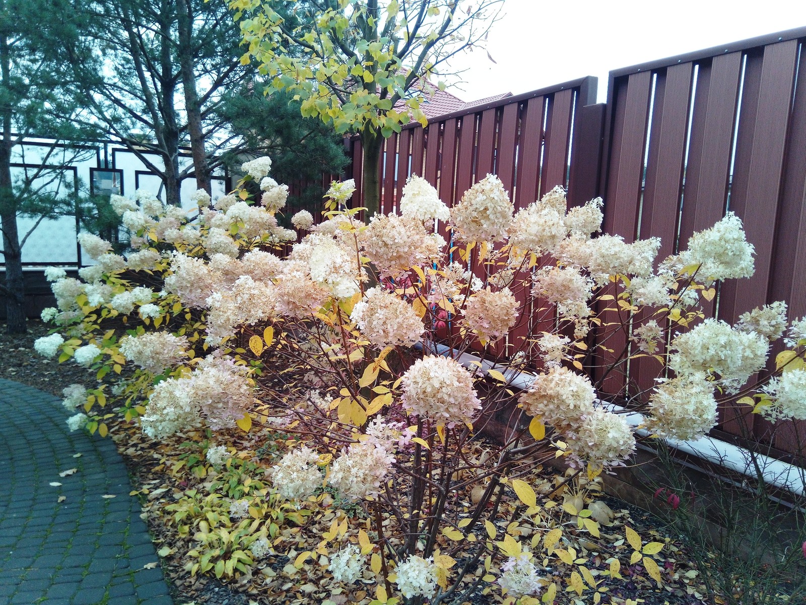 кп "Мартемьяново" - Профессиональный уход за садом - 100% качество!