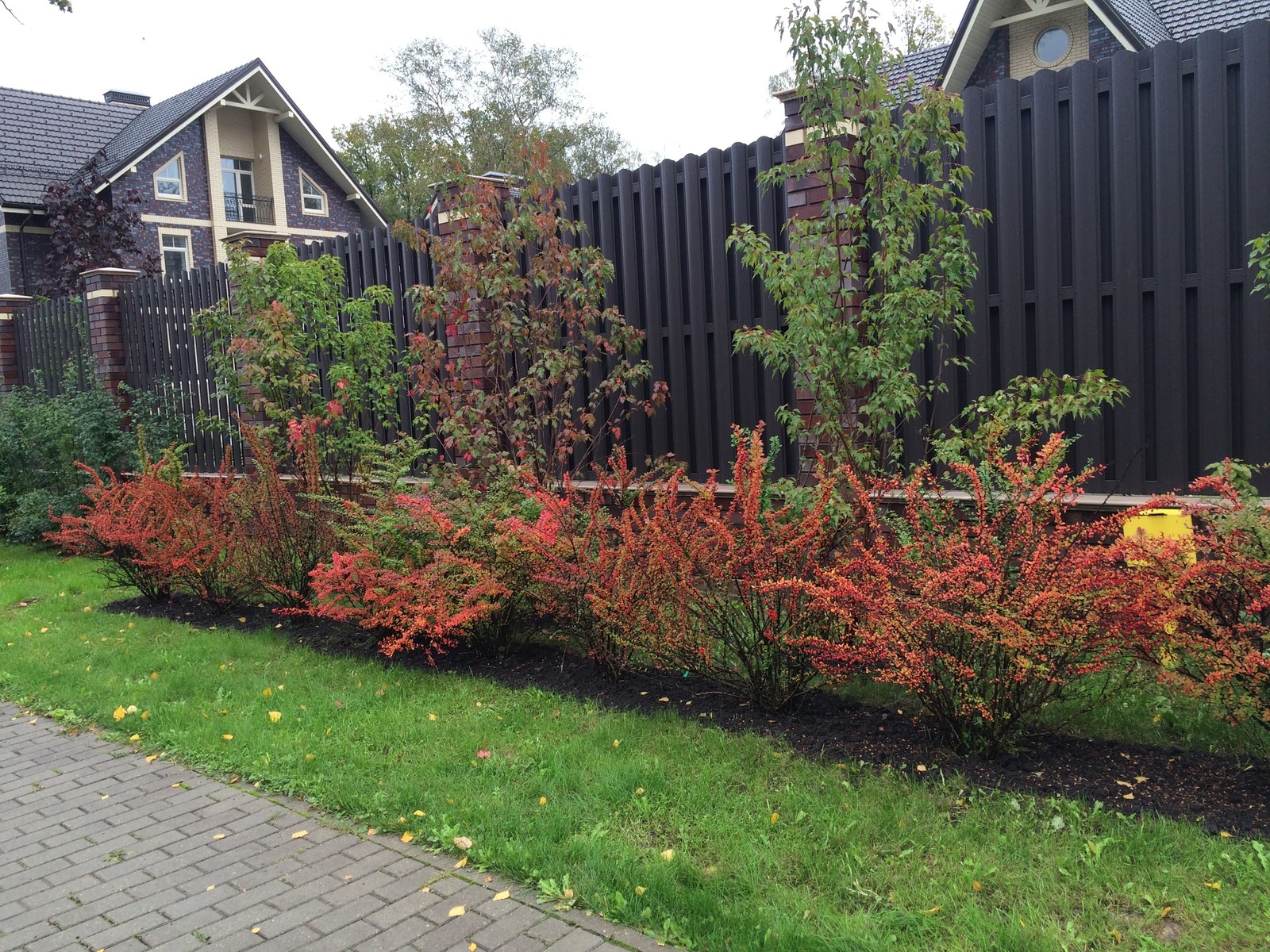 Летова роща