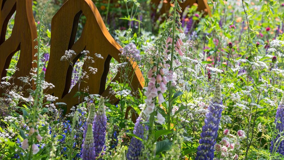 Уроки Chelsea Flower Show: Сад хорошего самочувствия