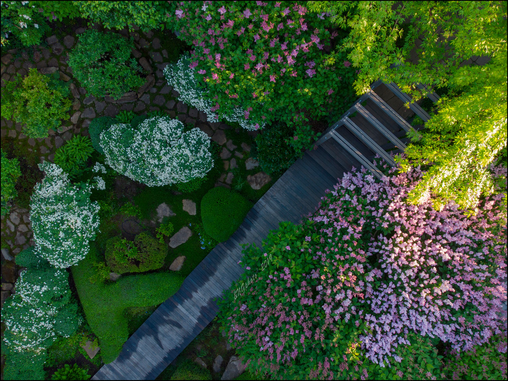 Обложка проекта: Golikovo